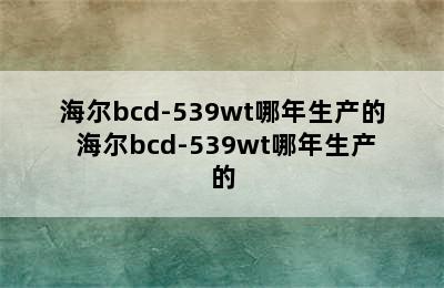 海尔bcd-539wt哪年生产的 海尔bcd-539wt哪年生产的